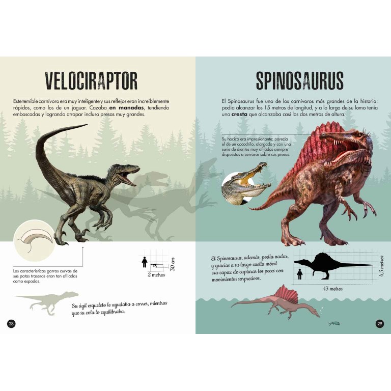 La era de los dinosaurios. Tiranosaurio - Libro + Maqueta 3D - Superjuguete  Montoro